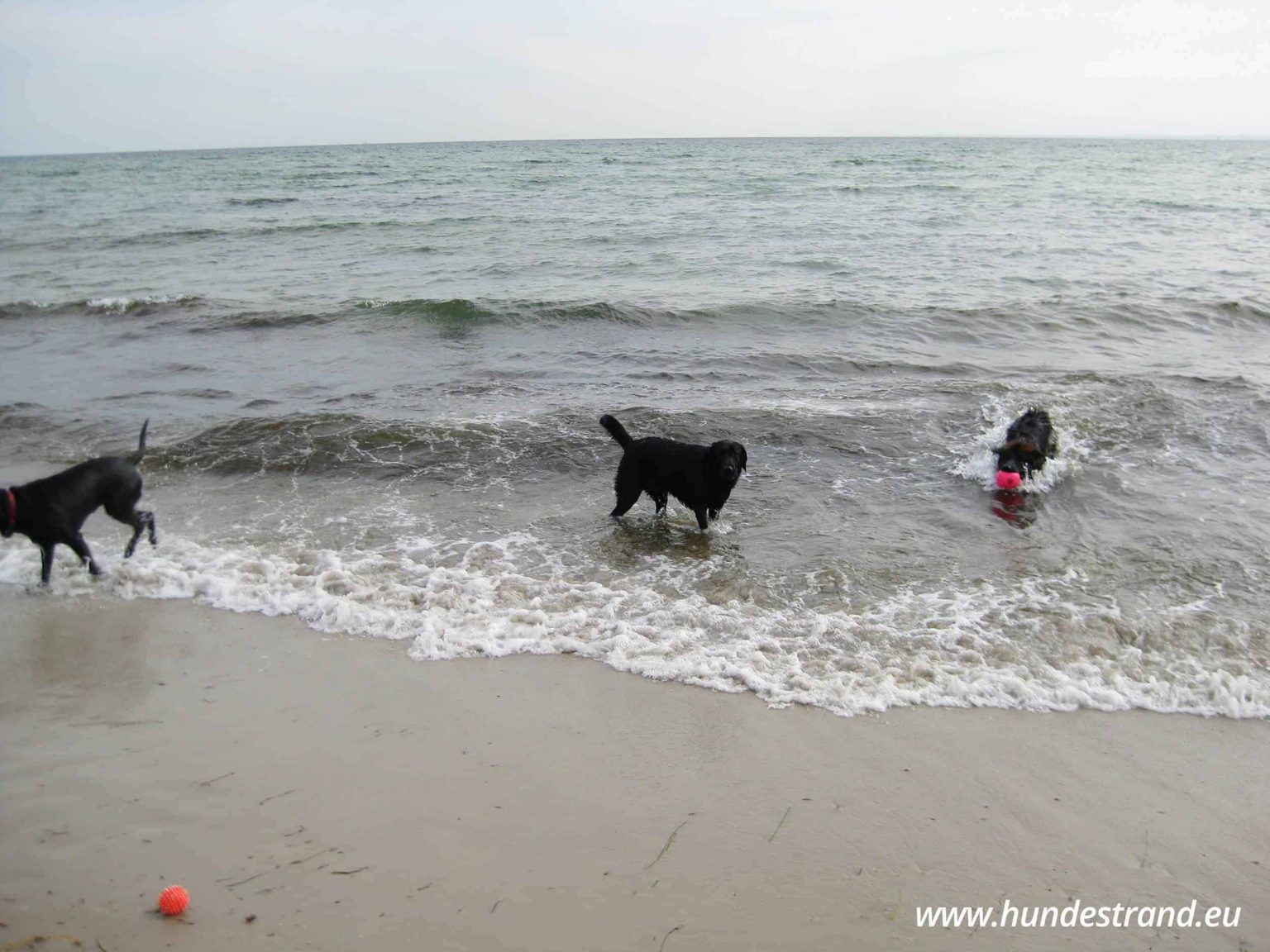 Fertighaus Preise Und Kosten Fertighaus Von Fertighaus Preise Und Kosten Fertighaus Von