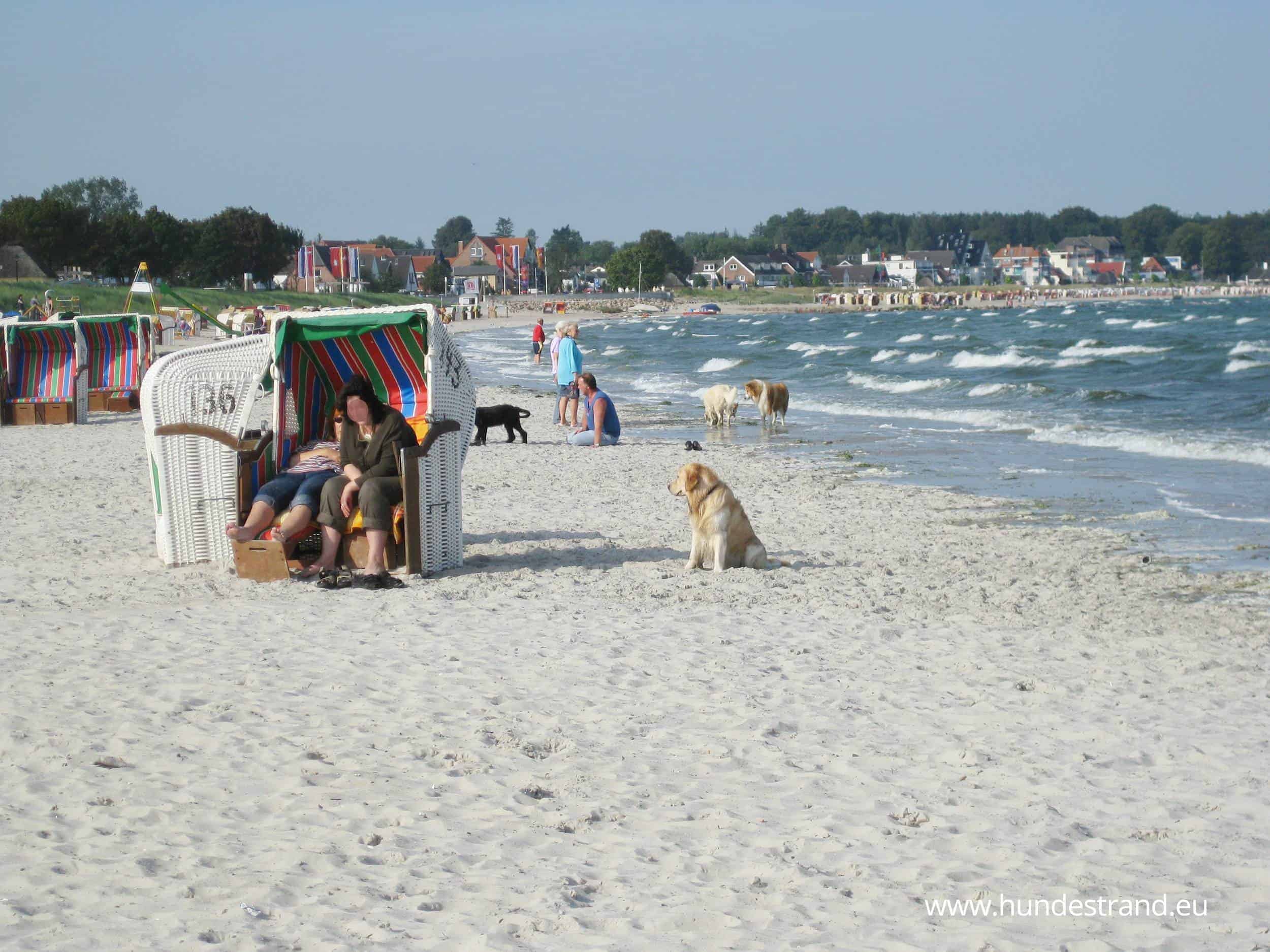 Hundestrand Haffkrug Hunde am Strand