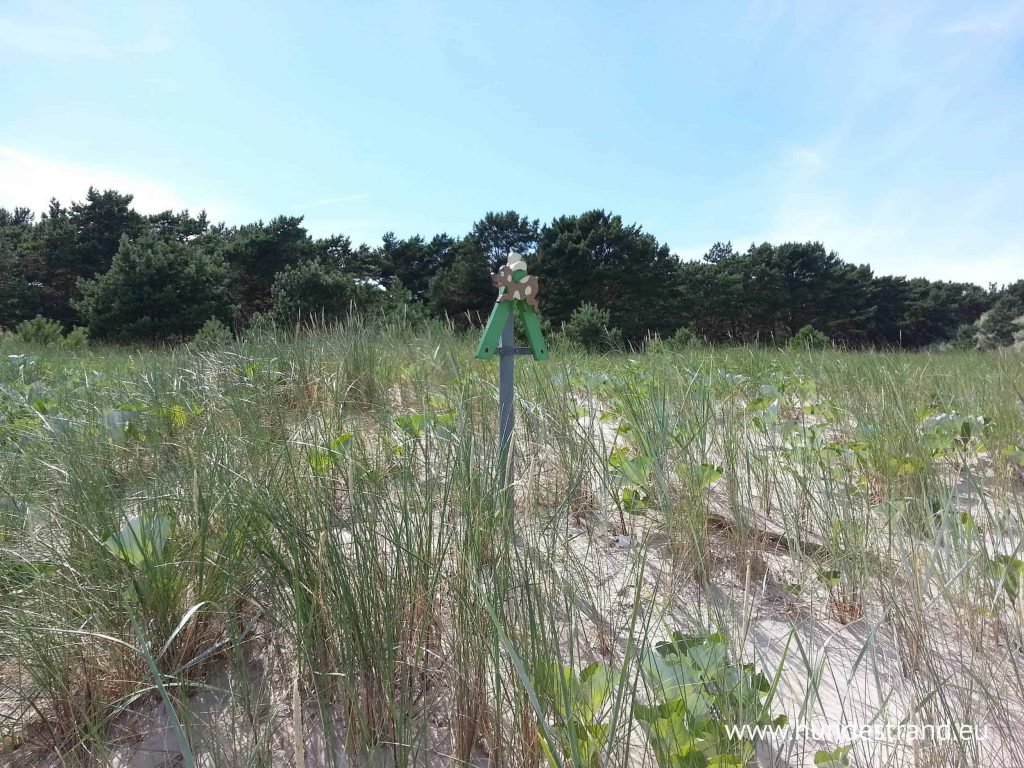 Hundestrand Trassenheide