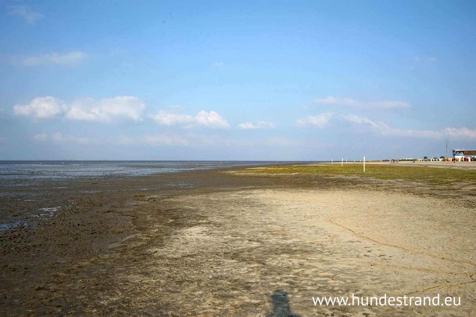 Hundestrand Dangast Hundestrand Verzeichnis