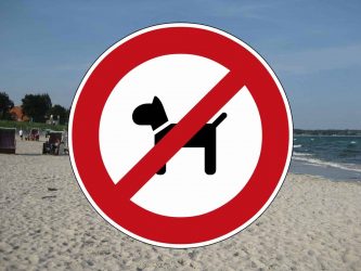 Strandverbot für Hunde