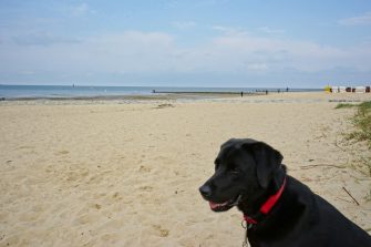 Cuxhaven mit Hund