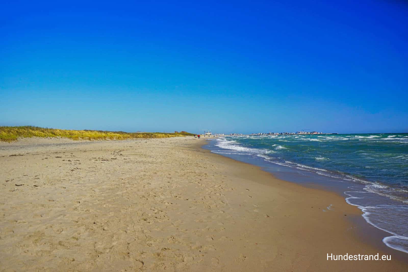 Hundestrand Ostsee SchleswigHolstein
