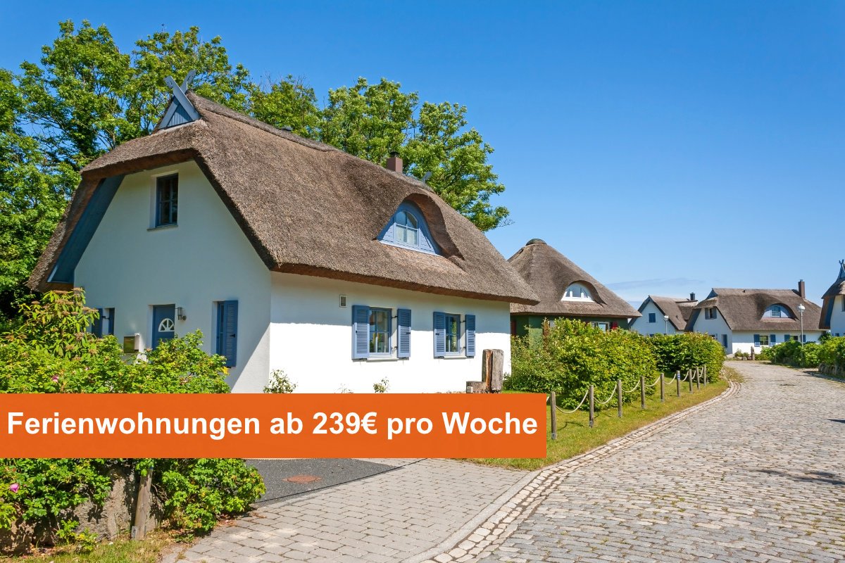 Ferienhaus Ferienwohnung Mit Hund An Der Ostsee In Schleswig Holstein